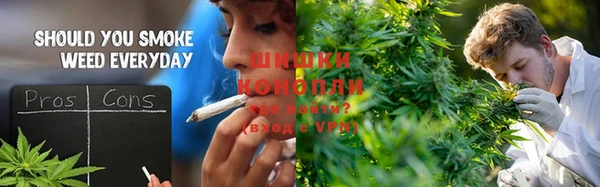 прущий лед Козловка