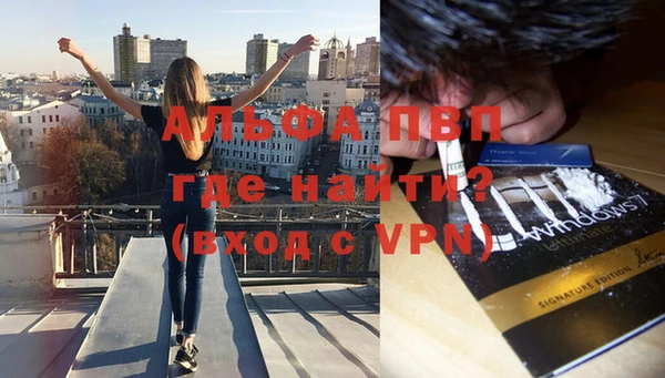 сатива Михайлов