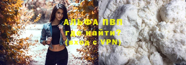 сатива Киреевск