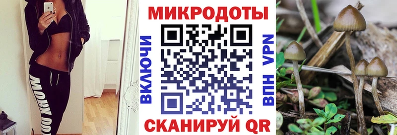 купить наркотики сайты Киржач Псилоцибиновые грибы MAGIC MUSHROOMS